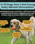 WUNDERBALL - Best Fetch Toy