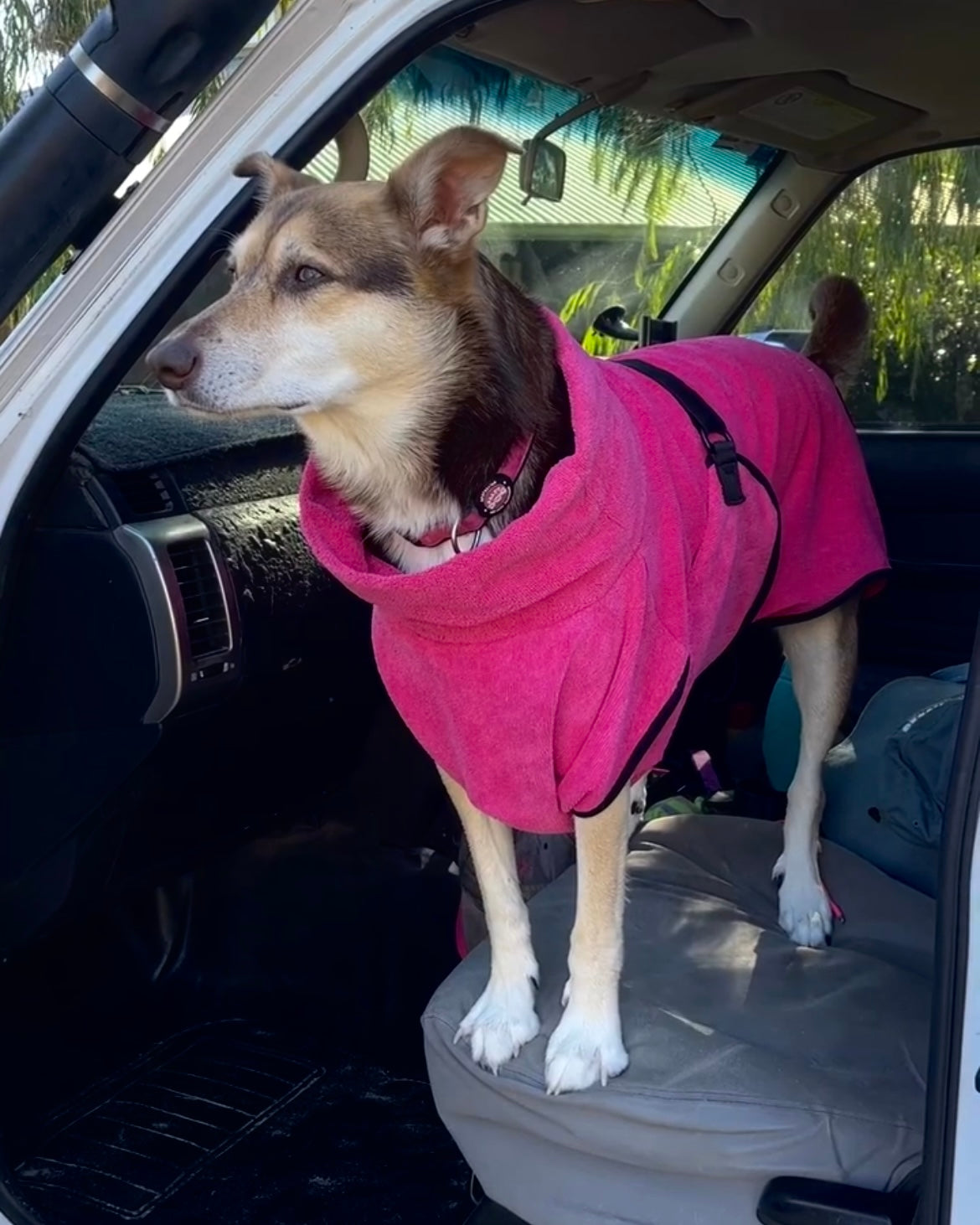 dog drying coat by saltydogs.com.au