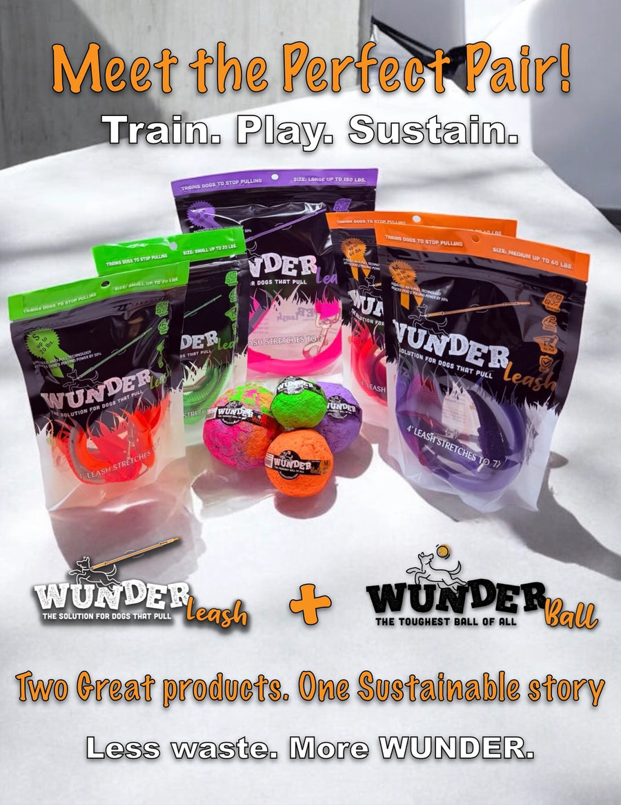 WUNDERleash - Best No-Pull Dog Leash