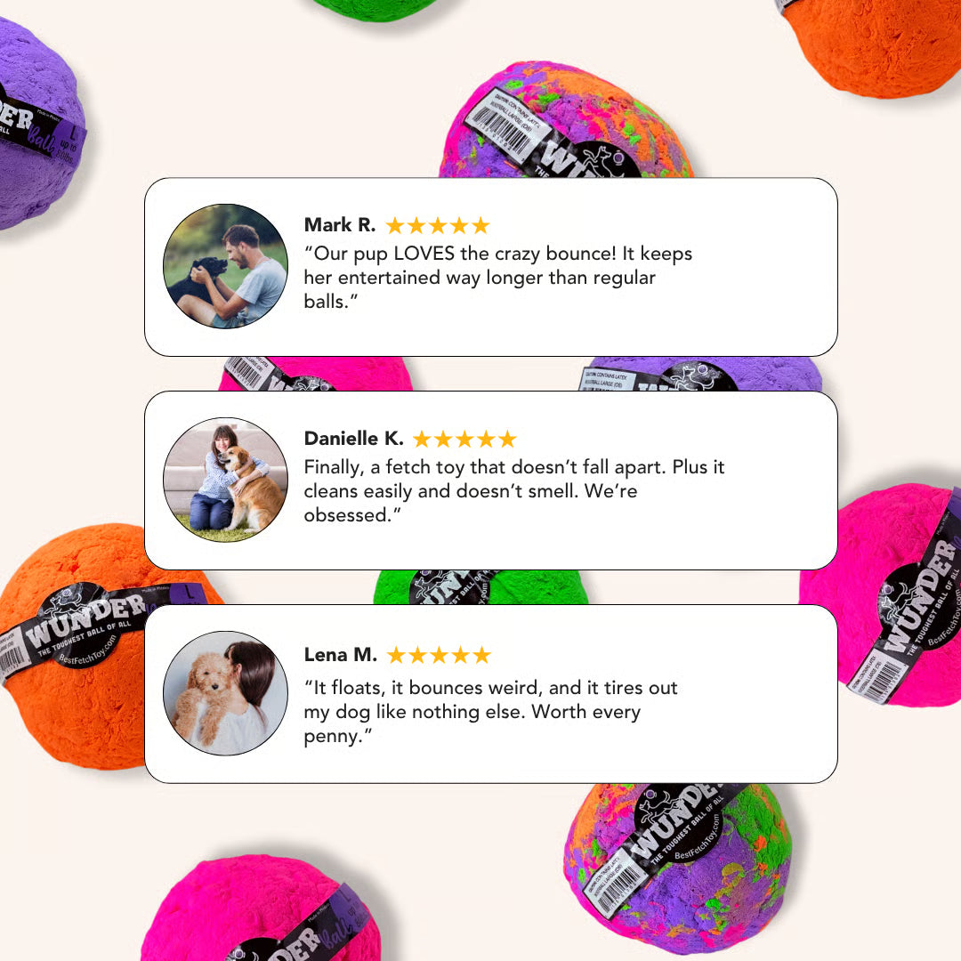 WUNDERBALL - Best Fetch Toy