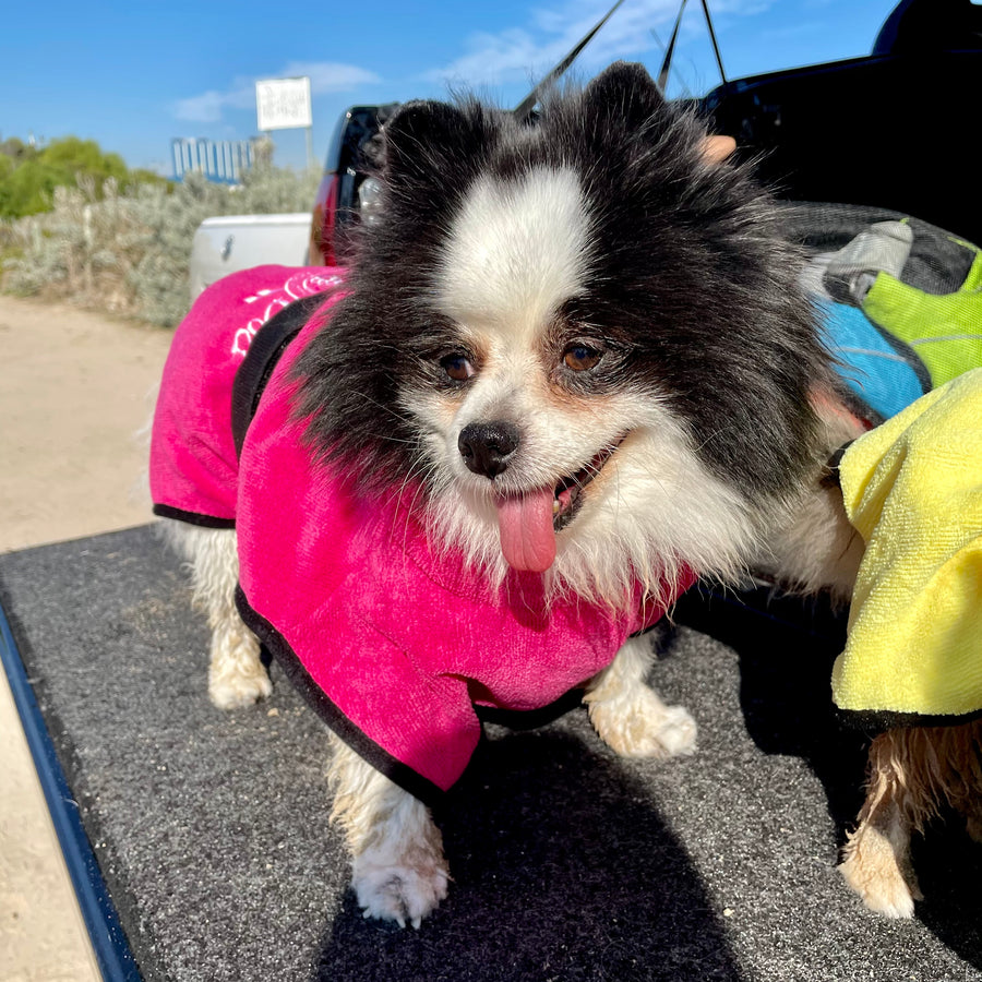 dog drying coat by saltydogs.com.au