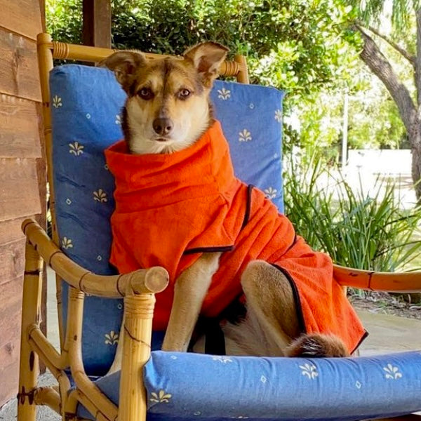 dog drying coat by saltydogs.com.au