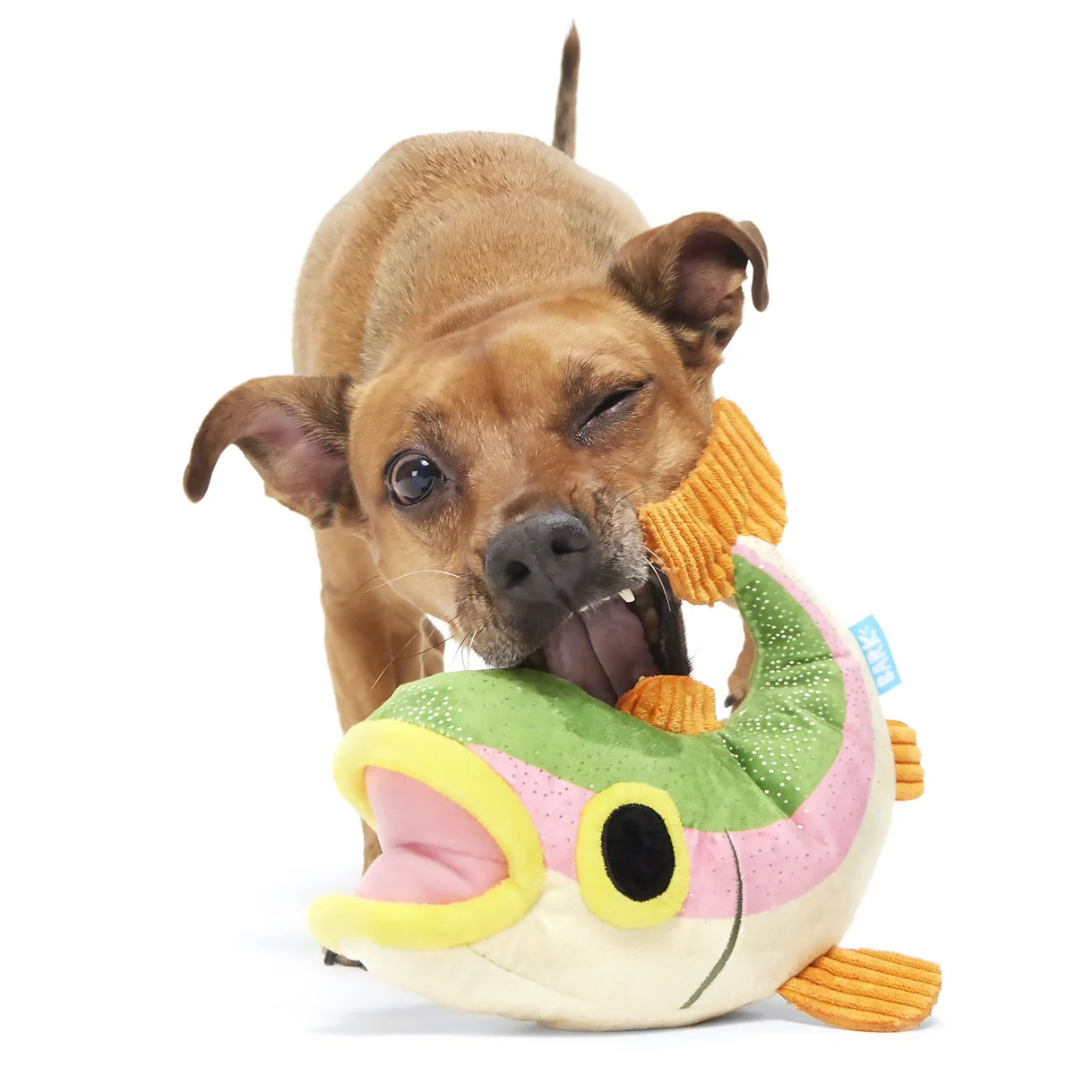 BARK Brooke Trout Plush Dog Toy