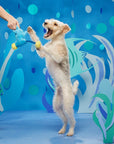 BARK Hammerin' Hank the Shark
