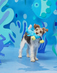 BARK Hammerin' Hank the Shark