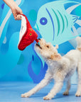BARK Sting Crosby the Ray