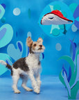 BARK Sting Crosby the Ray