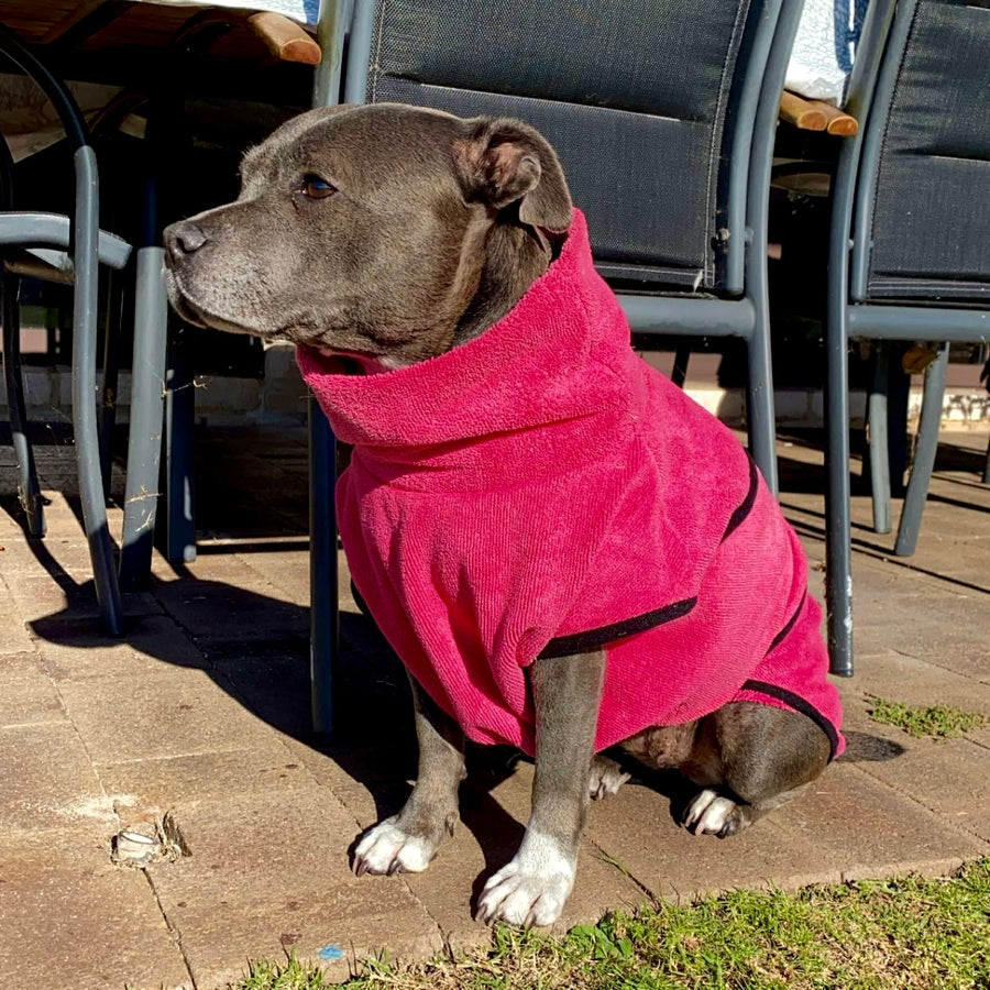 dog drying coat by saltydogs.com.au