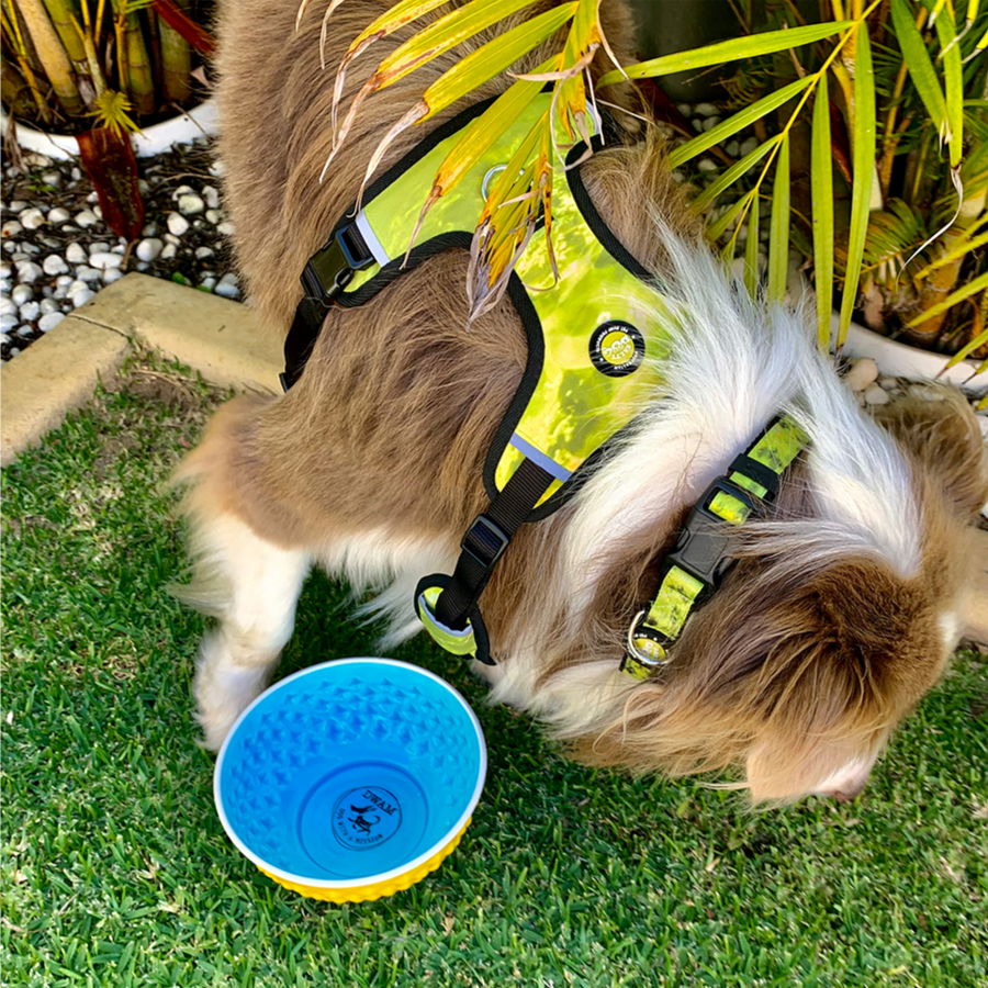 Neoprene Dog Harness - Yellow