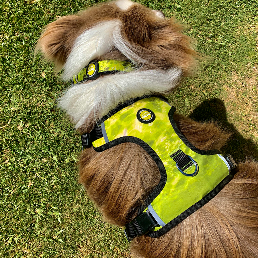 Neoprene Dog Harness - Yellow