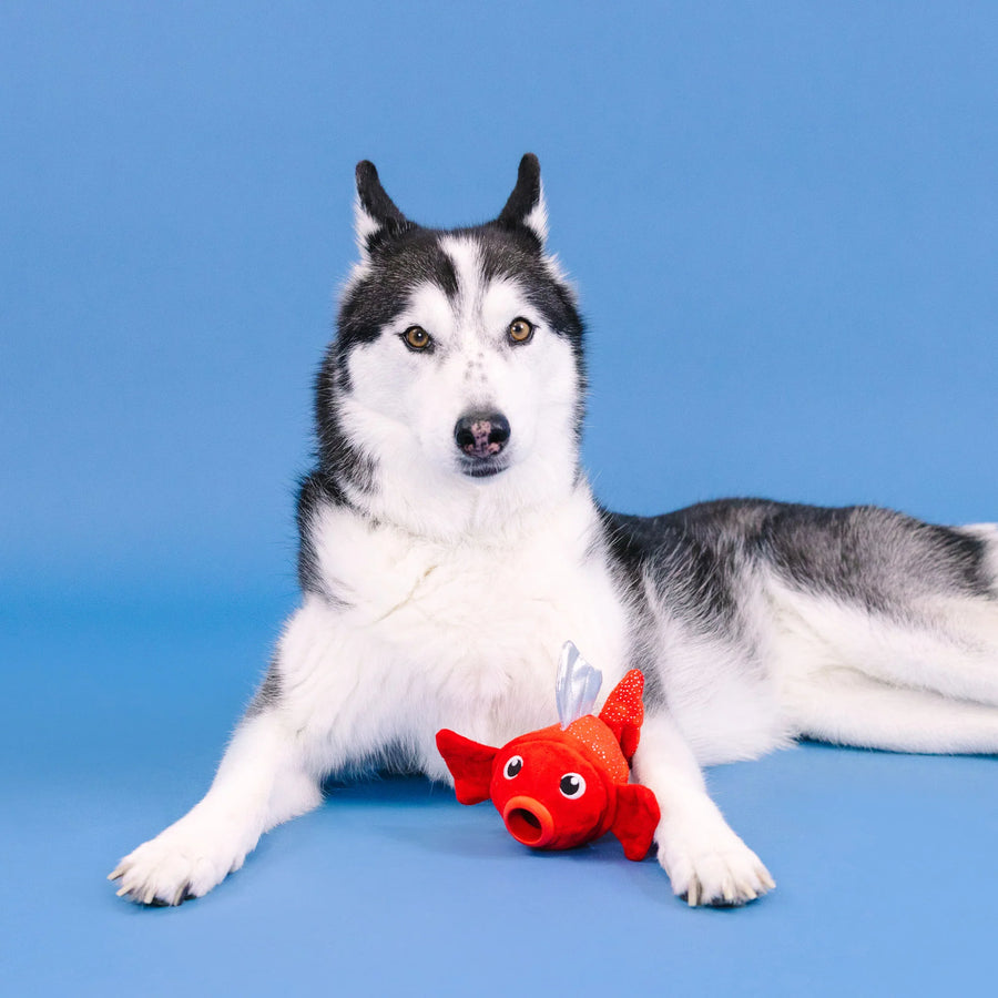 REEL ME IN! RUBBER/PLUSH DOG TOY