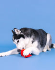 REEL ME IN! RUBBER/PLUSH DOG TOY