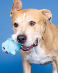 OUT OF THE BLUE RUBBER/PLUSH DOG TOY