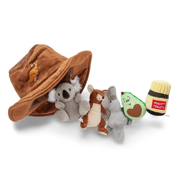 Hide N Seek Aussie Outback