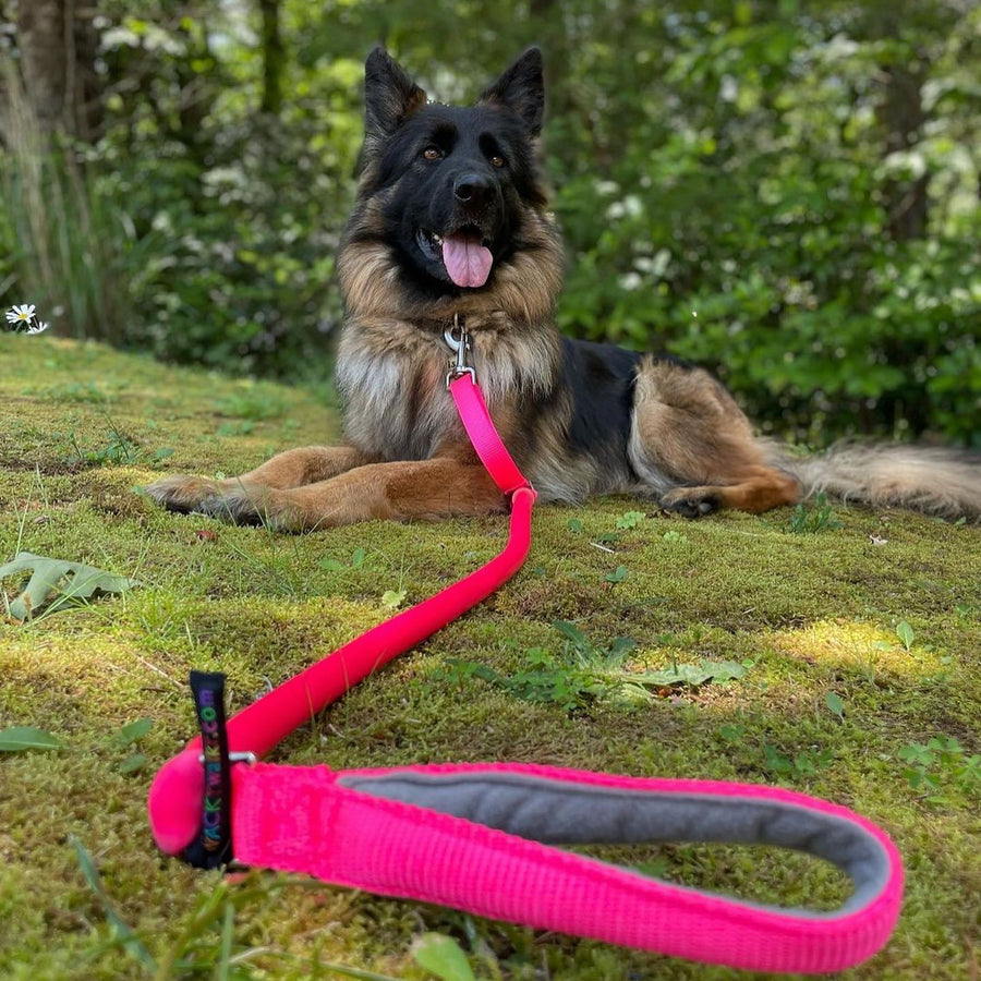 WUNDERleash - Best No-Pull Dog Leash