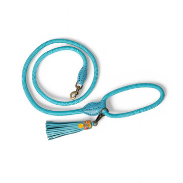 Summer Sunsets Dog Leash