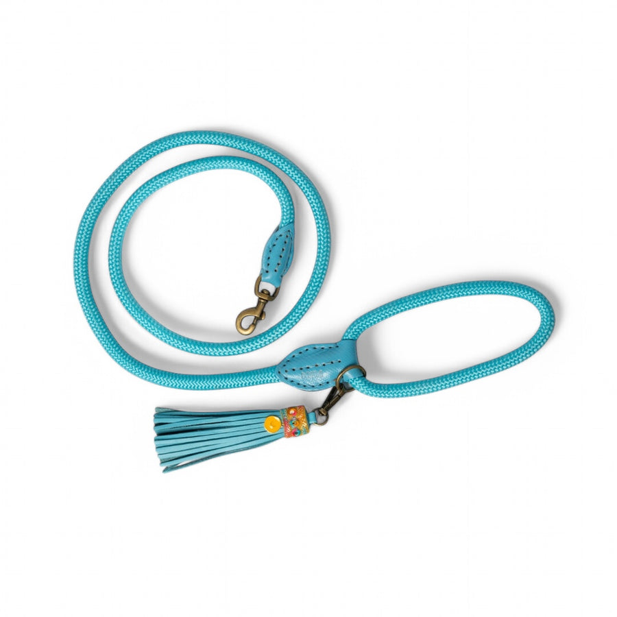 Summer Sunsets Dog Leash