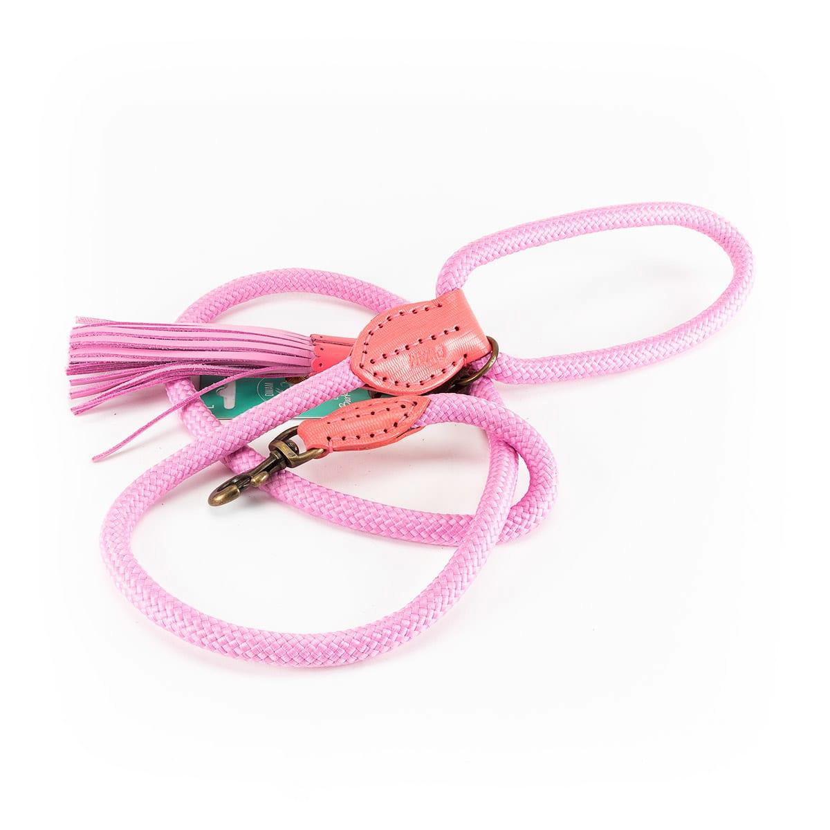 Sweetie Dog Leash