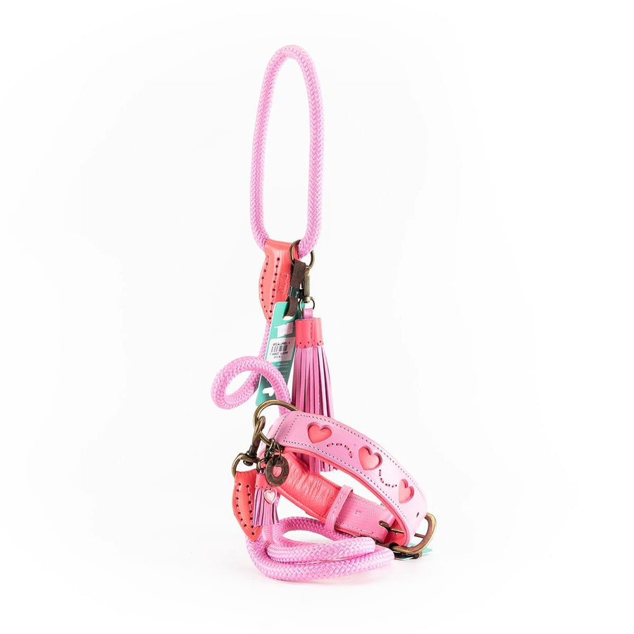 Sweetie Collar