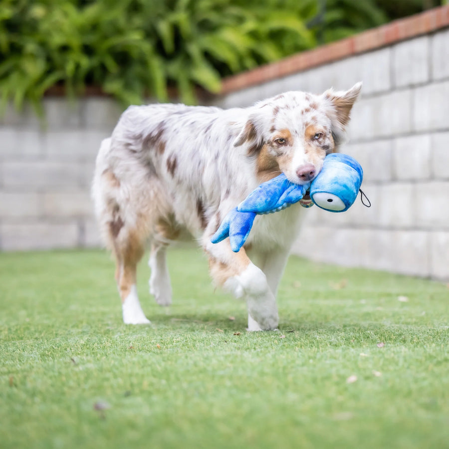 slappies® jack hammerhead