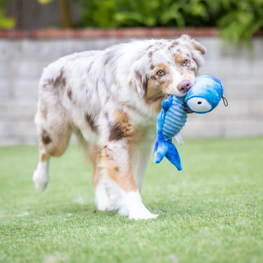 slappies® jack hammerhead