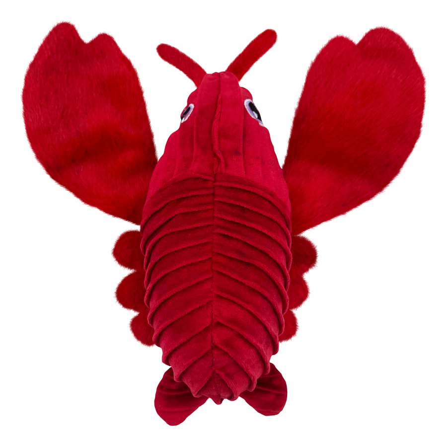 Cuteseas Rufflez Lobster