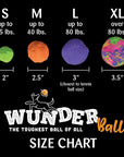 WUNDERBALL - Best Fetch Toy
