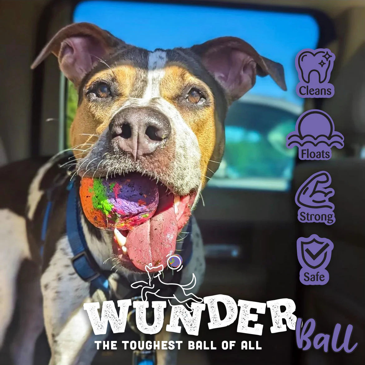 WUNDERBALL - Best Fetch Toy