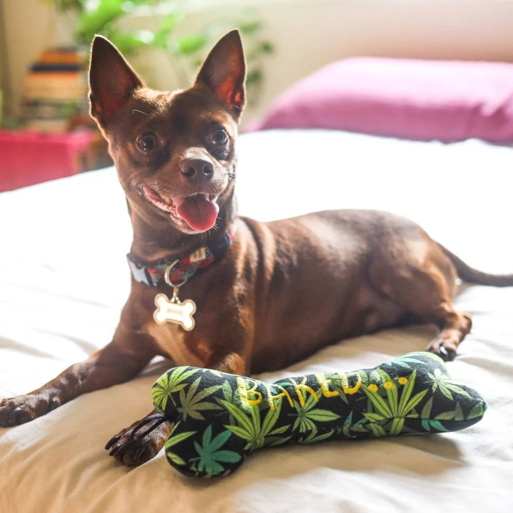 baked bone