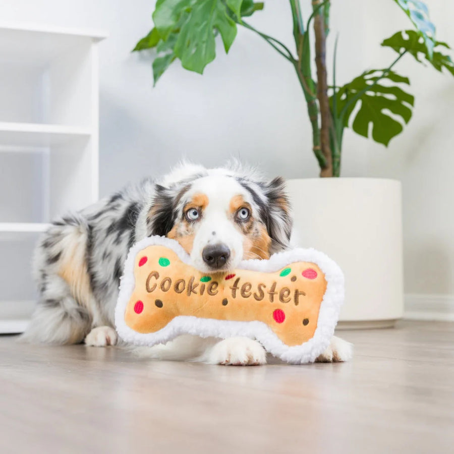 cookie tester bone