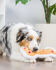 cookie tester bone