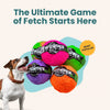 WUNDERBALL - Best Fetch Toy