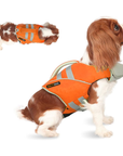 Orange SaltyDOG dog life jacket with handle and reflective trim