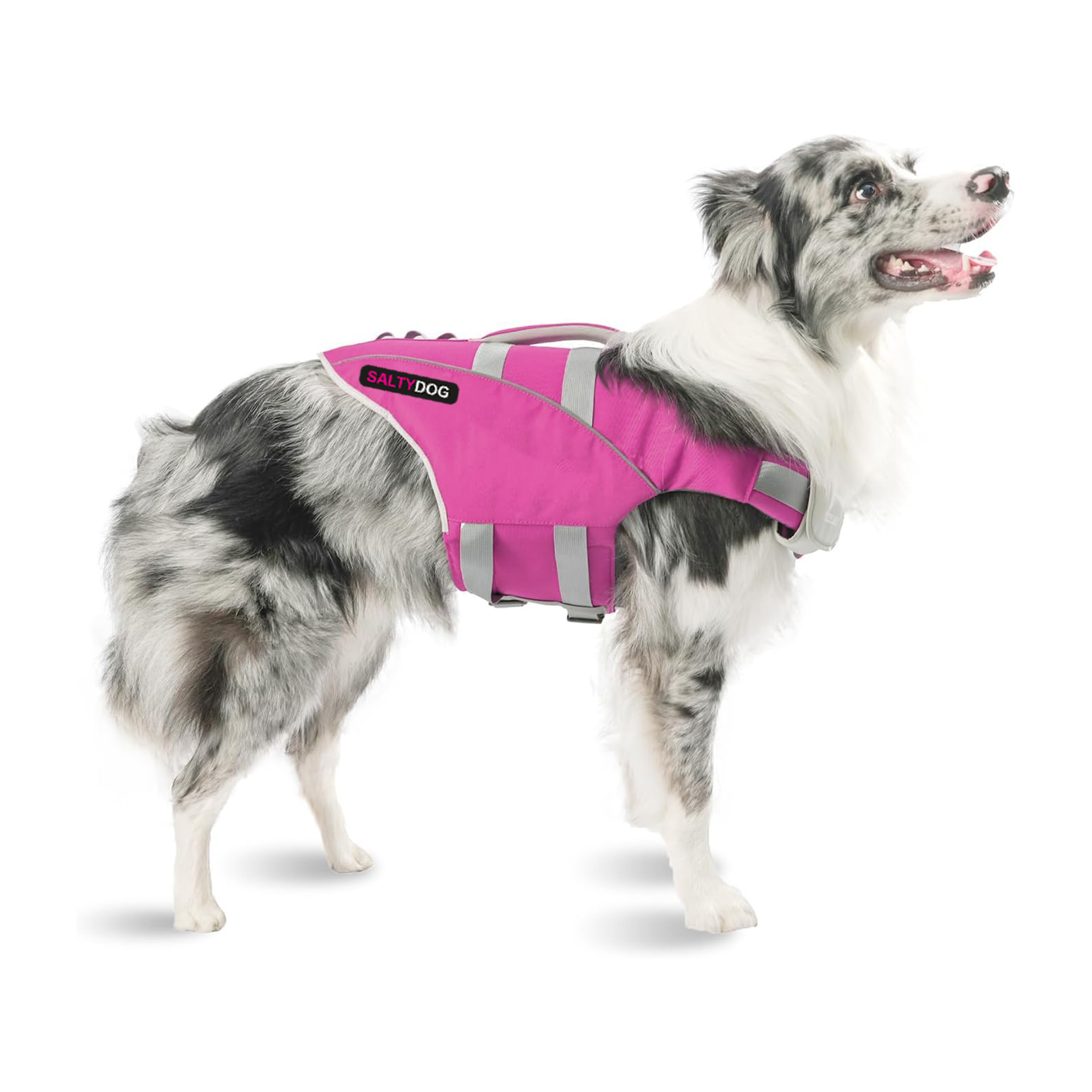 Dog Life Jacket - Coral Pink Waverider