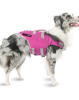 Australian Shepherd dog wearing pink SaltyDOG Waverider life jacket at the beach