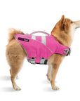 Shiba Inu dog wearing pink SaltyDOG Waverider life jacket