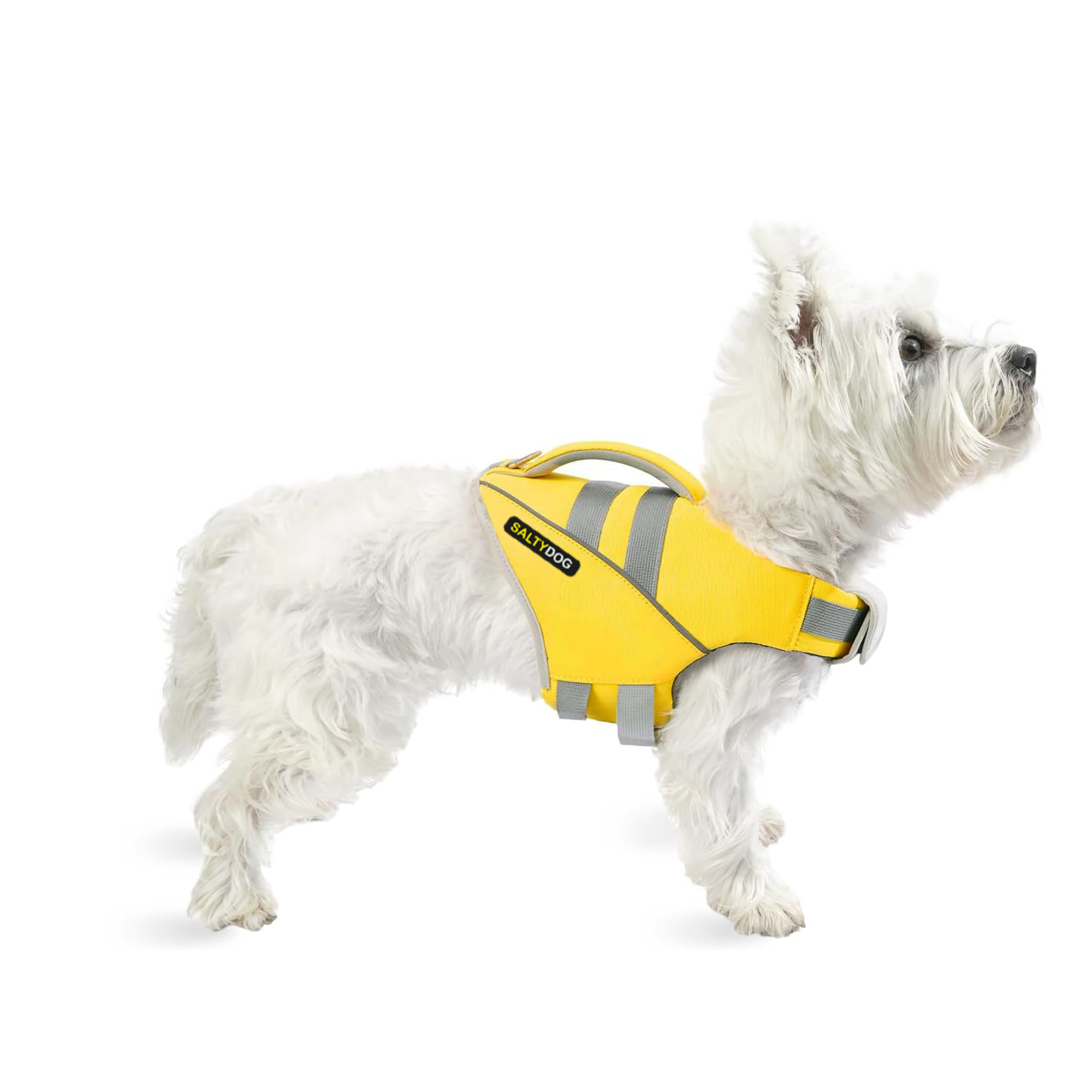 Small westie dog wearing yellow SaltyDOG Waverider life jacket