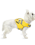 Small westie dog wearing yellow SaltyDOG Waverider life jacket