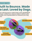 WUNDERBALL - Best Fetch Toy