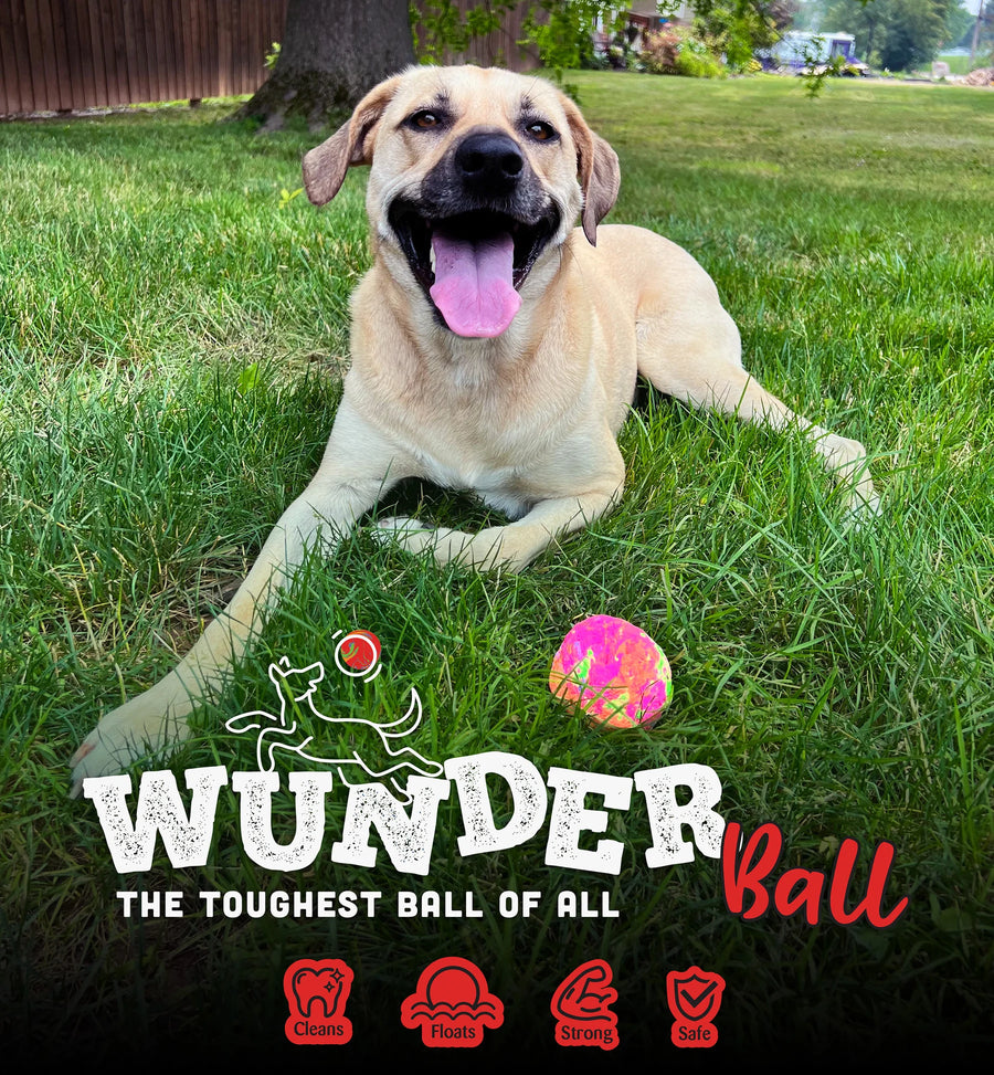 WUNDERBALL - Best Fetch Toy