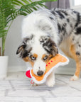 cookie tester bone