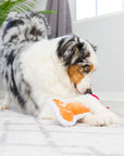 cookie tester bone