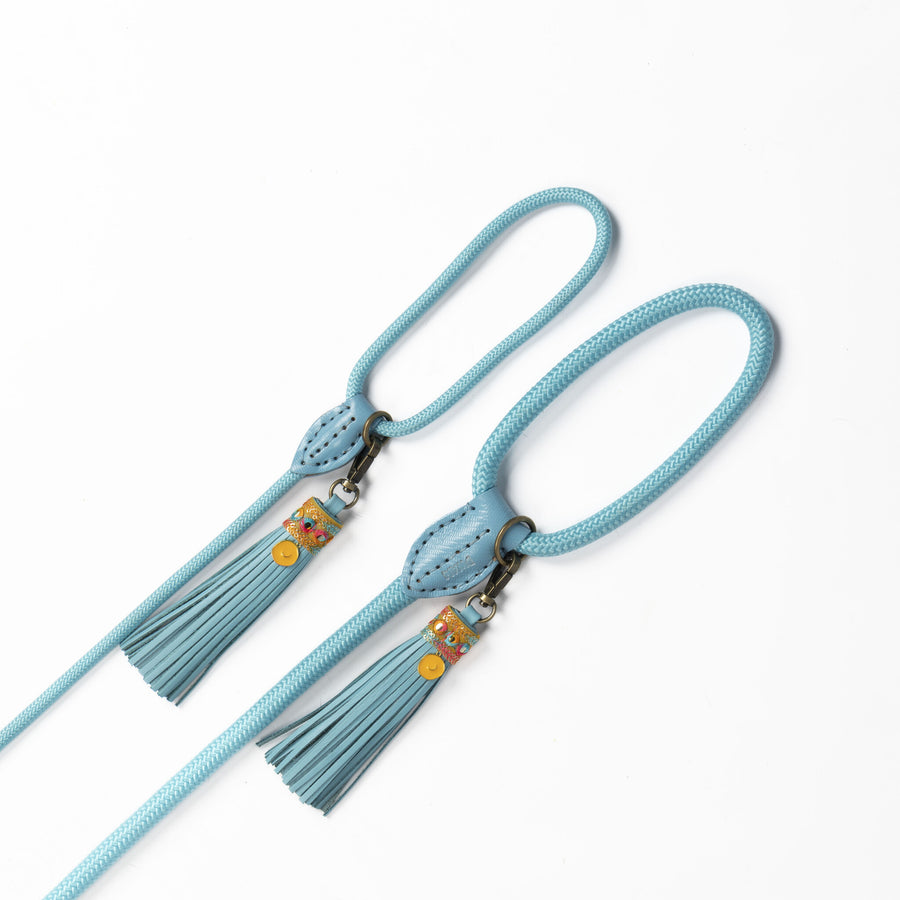 Summer Sunsets Dog Leash