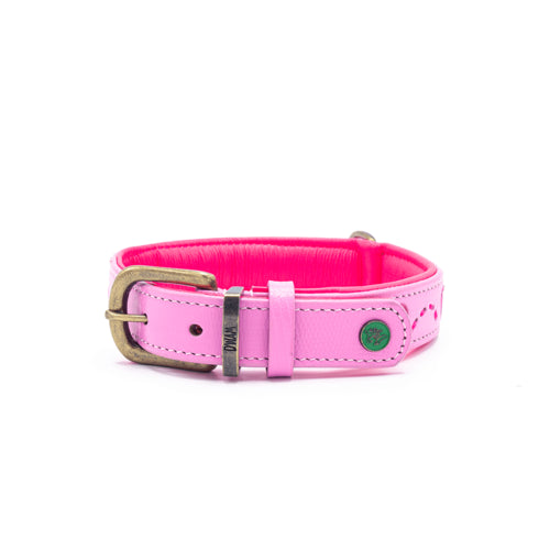 Sweetie Collar