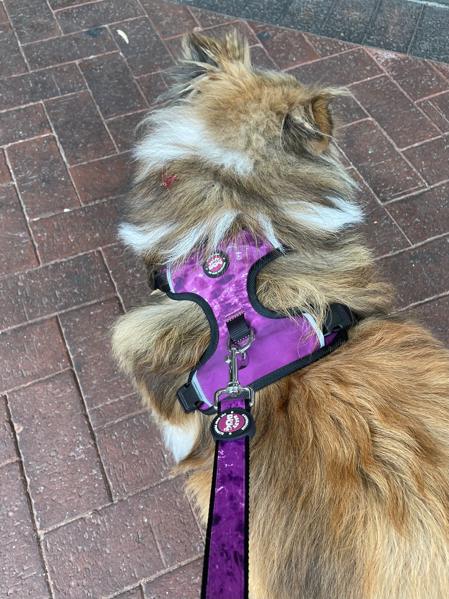 Neoprene Dog Harness - Purple