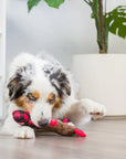 reindeer bone