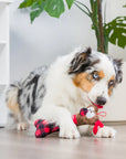reindeer bone