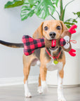reindeer bone