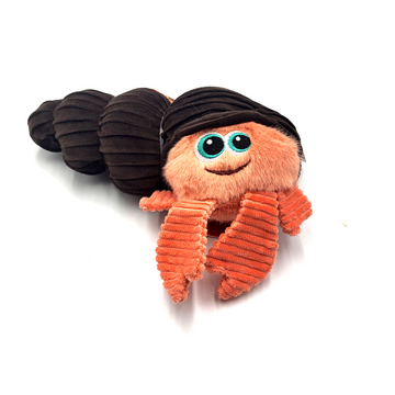 Cuteseas Rufflez Hermit Crab