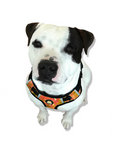 Neoprene Dog Harness - Orange
